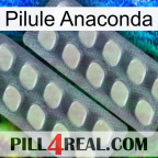 Anaconda Pill 07